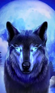 Dark Wolf