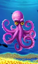 Crazy Octopus